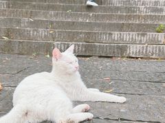 -宝通禅寺