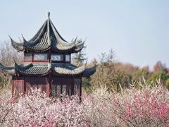 -上海海湾国家森林公园