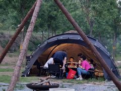 -Walker萌宠露营(大明骑士驿站店)