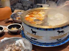 -大白羊蝎子馆(后沙峪山姆店)