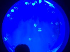 -多彩贵州城极地海洋世界