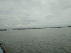 -大湾区中央湿地公园