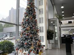 -上海德星奔驰(江杨南路店)