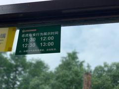 -上海野生动物园老虎餐厅