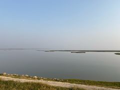 -湖南东洞庭湖国家级自然保护区