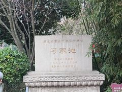 -习家池
