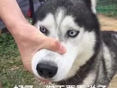 -达博饭店