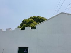 -宁波市青少年绿色学校