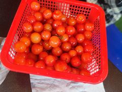 -玫瑰庄园·自助烧烤·烤全羊·团建拓展(龙泉山店)