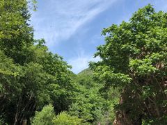 -雾灵西峰