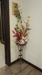 -青青一生美皮肤管理