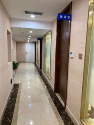 -碧莲盛·不剃发植发