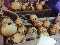 -北戴河集发农业梦想王国