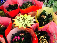 -BHG生活超市(安贞店)