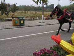 -兰陵国家农业公园