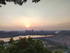 -顺峰山公园