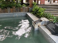 -天目湖御水温泉·度假酒店