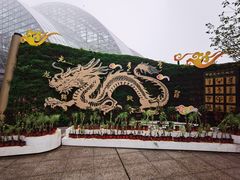 -南山植物园
