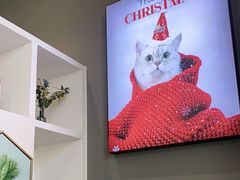 -关爱宠物医院·猫科中心·消化科(滨湖万达分院)