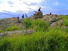 -长虫山生态公园风景林