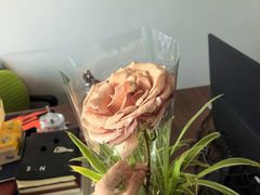 -金穗-老荣成·荣成菜
