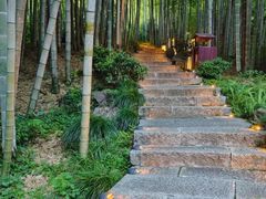 -杭州黄龙洞