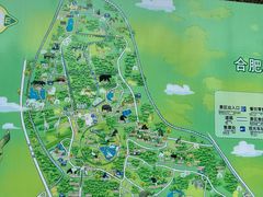 -合肥野生动物园