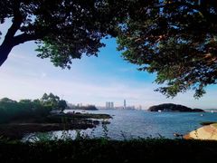 -海沧湾公园