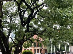 -上海兴国宾馆香樟园西餐厅