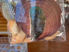 -蓝湾碧波·老字号·疍家非遗海上餐厅