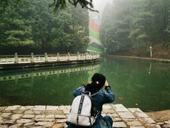 -四明山国家森林公园