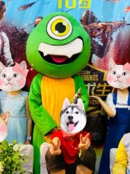 -动力星球家庭亲子游乐中心