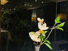 -唐廊烤鸭店(工体店)