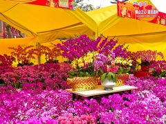 -文华公园(禅城区)