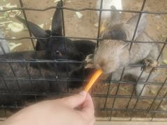-有喜胶东小馆(超极合生汇太申祥和店)