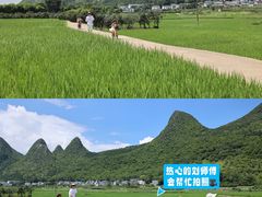 -万峰林风景区