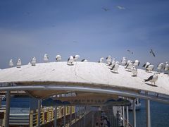 -海驴岛(荣成市)