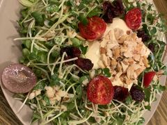 -机器人火炉披萨