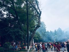 -南岳衡山风景名胜区-南岳大庙