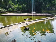 -海南热带野生动植物园