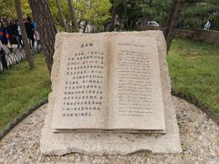 -八大关景区