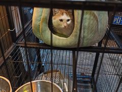 -長壹旋转烤吧 农家鸡火锅