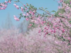 -闵行体育公园(七宝镇)