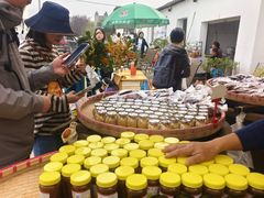 -苏州市吴中区光福窑上花果蜜饯厂