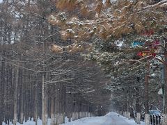 -长春市南湖公园