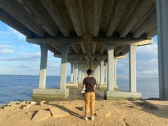 -宝安西湾红树林湿地公园