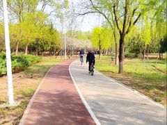 -绿堤公园