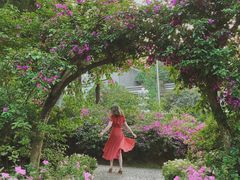 -重庆市江北嘴中央商务区中央公园