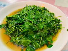 -蘭心餐厅(进贤路店)