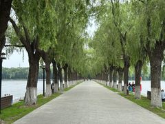 -北陵公园